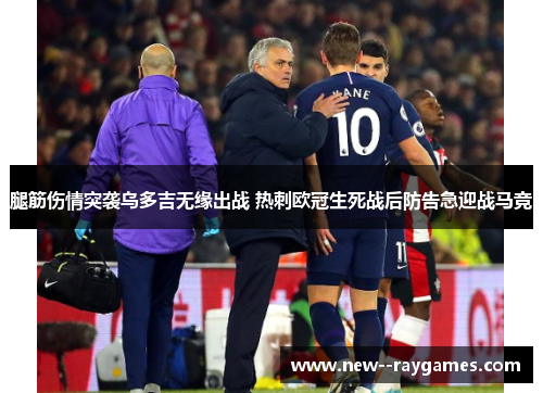 腿筋伤情突袭乌多吉无缘出战 热刺欧冠生死战后防告急迎战马竞 腿筋伤情突袭乌多吉无缘出战 热刺欧冠生死战后防告急迎战马竞